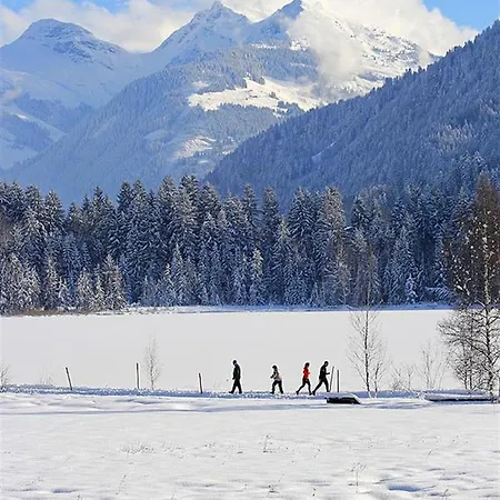 Wald Am Kitzbühel