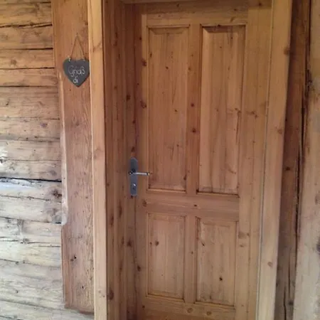 Wald Am Farma Kitzbühel