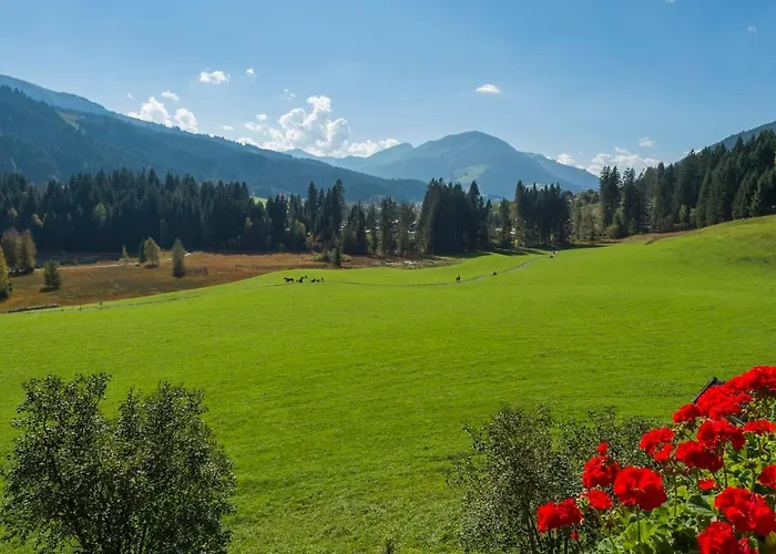 Wald Am キッツビュール