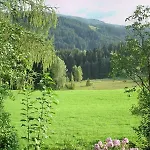 Wald Am *