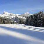 مزرعة للإقامة Wald Am كيتزبوهيل