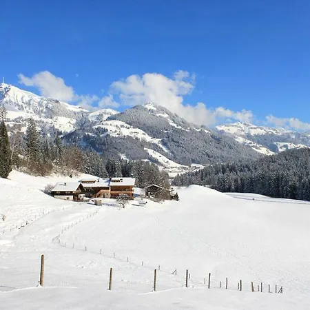 Wald Am * Kitzbühel