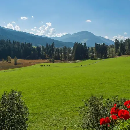 Wald Am Kitzbühel